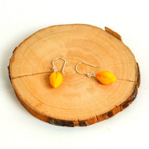 Aretes Cacao