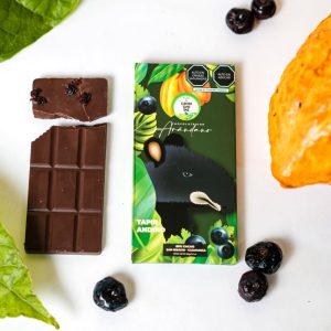 Chocolate Arándano 25 gr