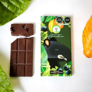 Chocolate Arándano 50 gr